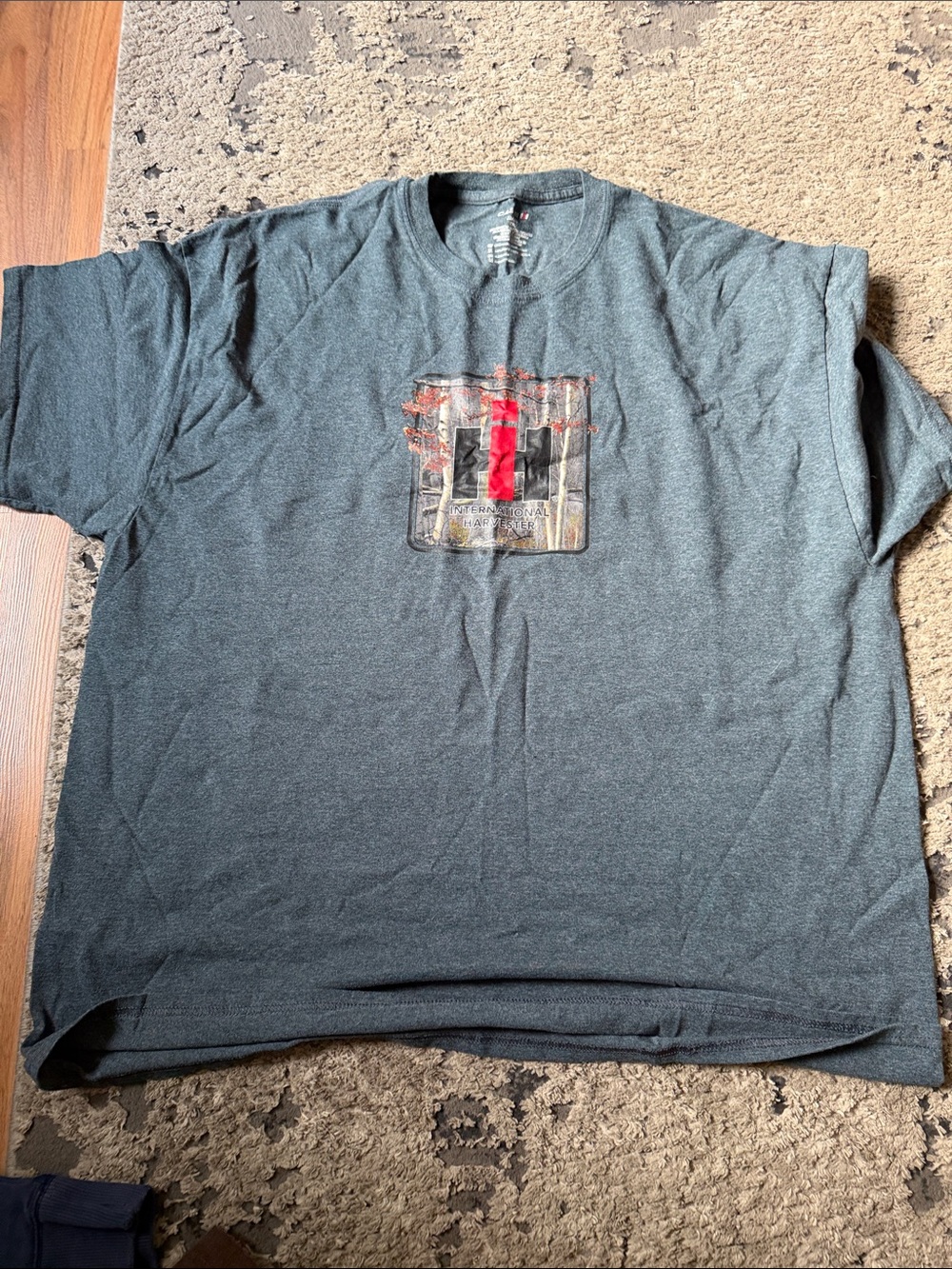 Men's Dark Gray Graphic Short-Sleeve Tee with Center Print